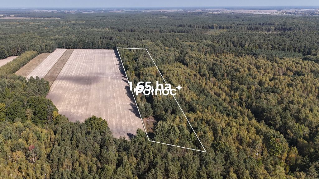 Działka budowlana Lipinki. Zdjęcie 2