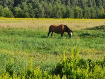 dom wolnostojący Ogrodzisko. Zdjęcie 1