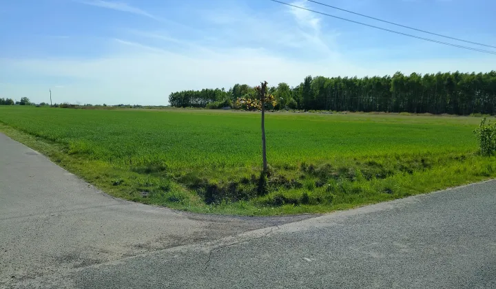 Działka budowlana Koziróg Leśny