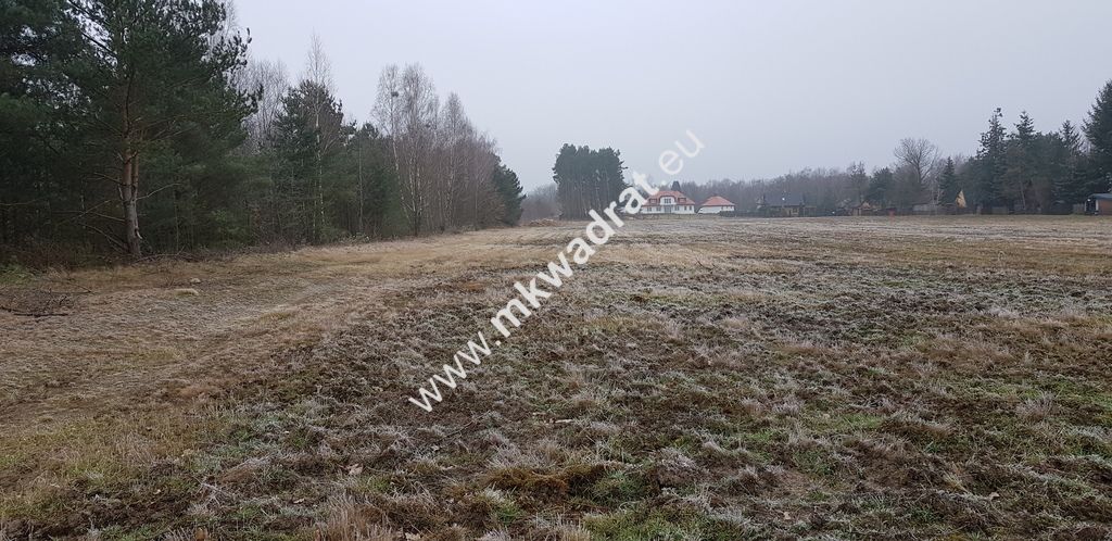 Działka budowlana Owczarnia. Zdjęcie 5