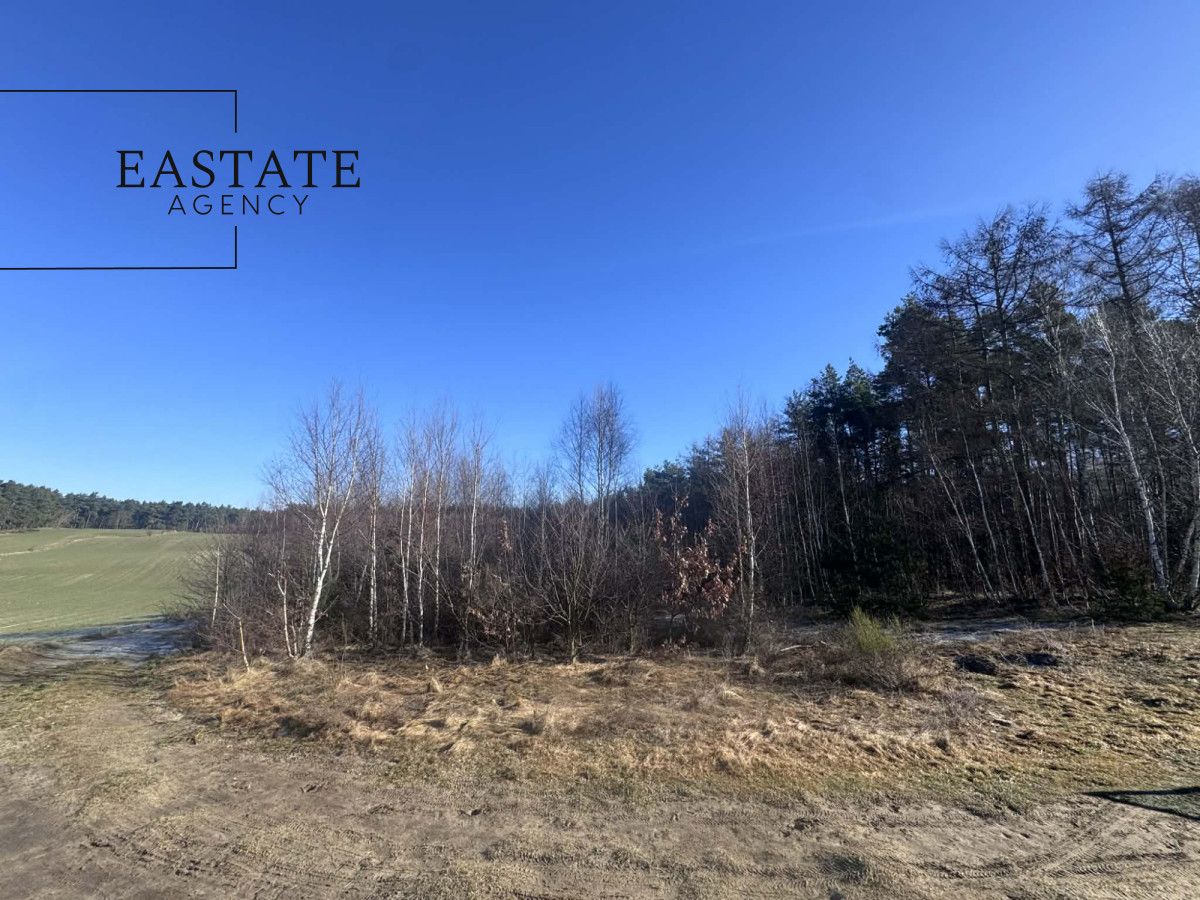 Działka inwestycyjna Pierwoszyno, ul. Jabłoniowa. Zdjęcie 4