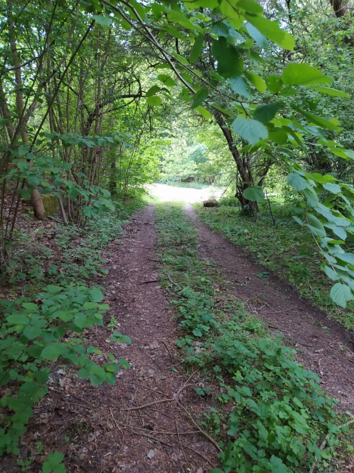 Działka budowlana Gronów. Zdjęcie 12