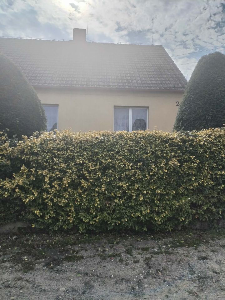 dom wolnostojący, 4 pokoje Pierstnica. Zdjęcie 11