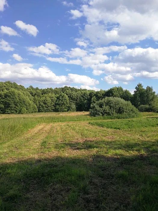 Działka rolno-budowlana Biała Rawska, ul. Topolowa. Zdjęcie 6