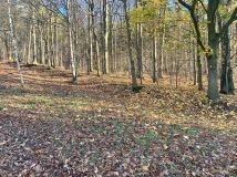 Działka budowlana Staniszów, ul. Zielona. Zdjęcie 2