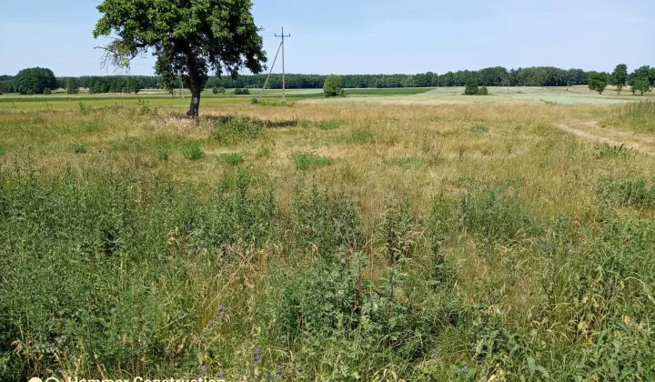 Działka budowlana Hipolitów