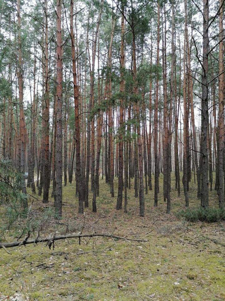 Działka rekreacyjna Osieck