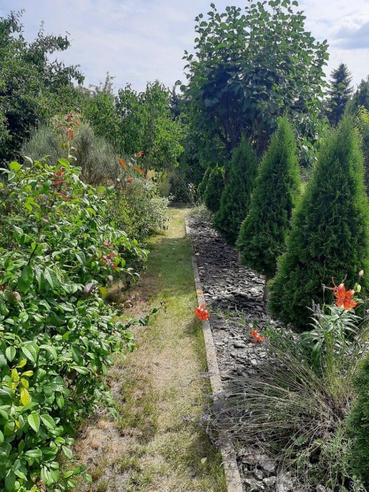 Działka rod Sochaczew. Zdjęcie 2