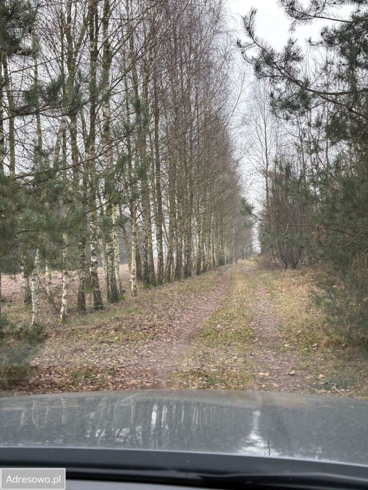 Działka rolna Jędrzejów Nowy. Zdjęcie 7