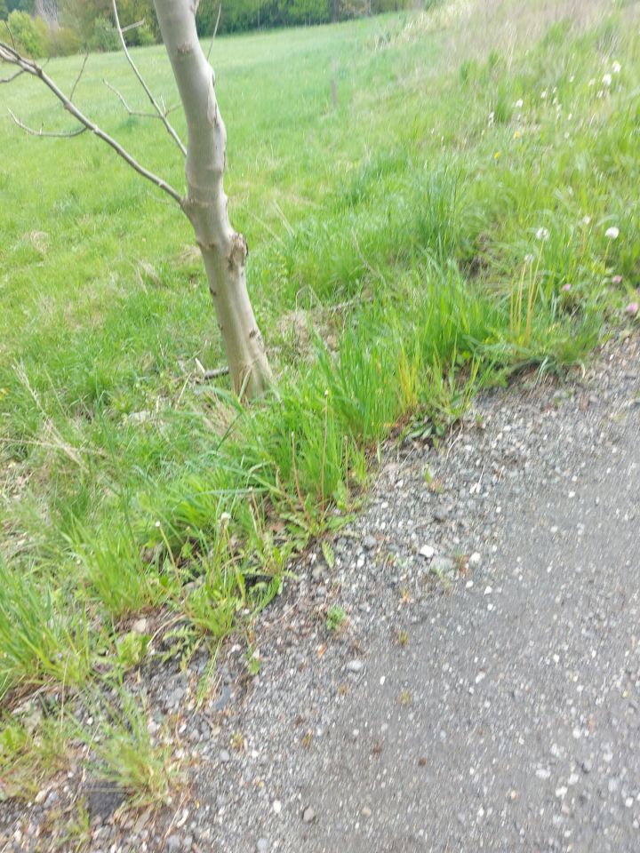 Działka budowlana Wrząsowice Zielona, ul. Witolda Pileckiego. Zdjęcie 13