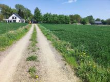 Działka budowlana Jacków, ul. Wrzosowa. Zdjęcie 2