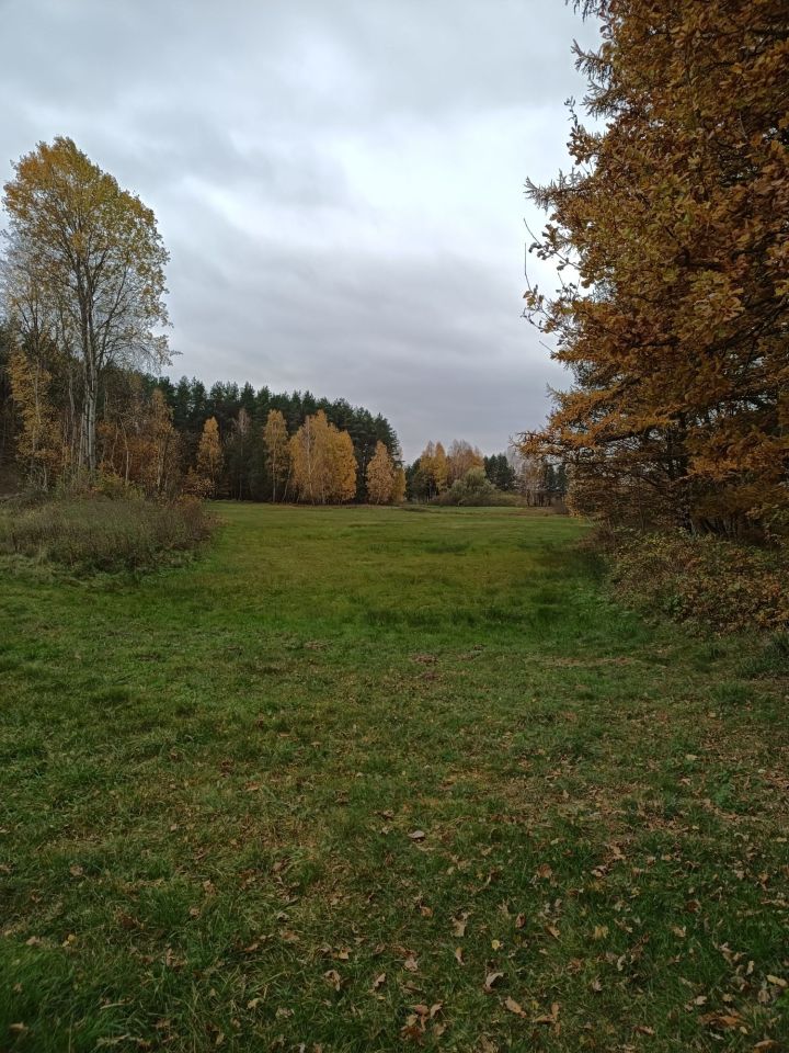 Działka Rumian. Zdjęcie 2