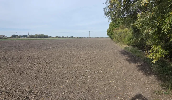 Działka rolna Zarębin