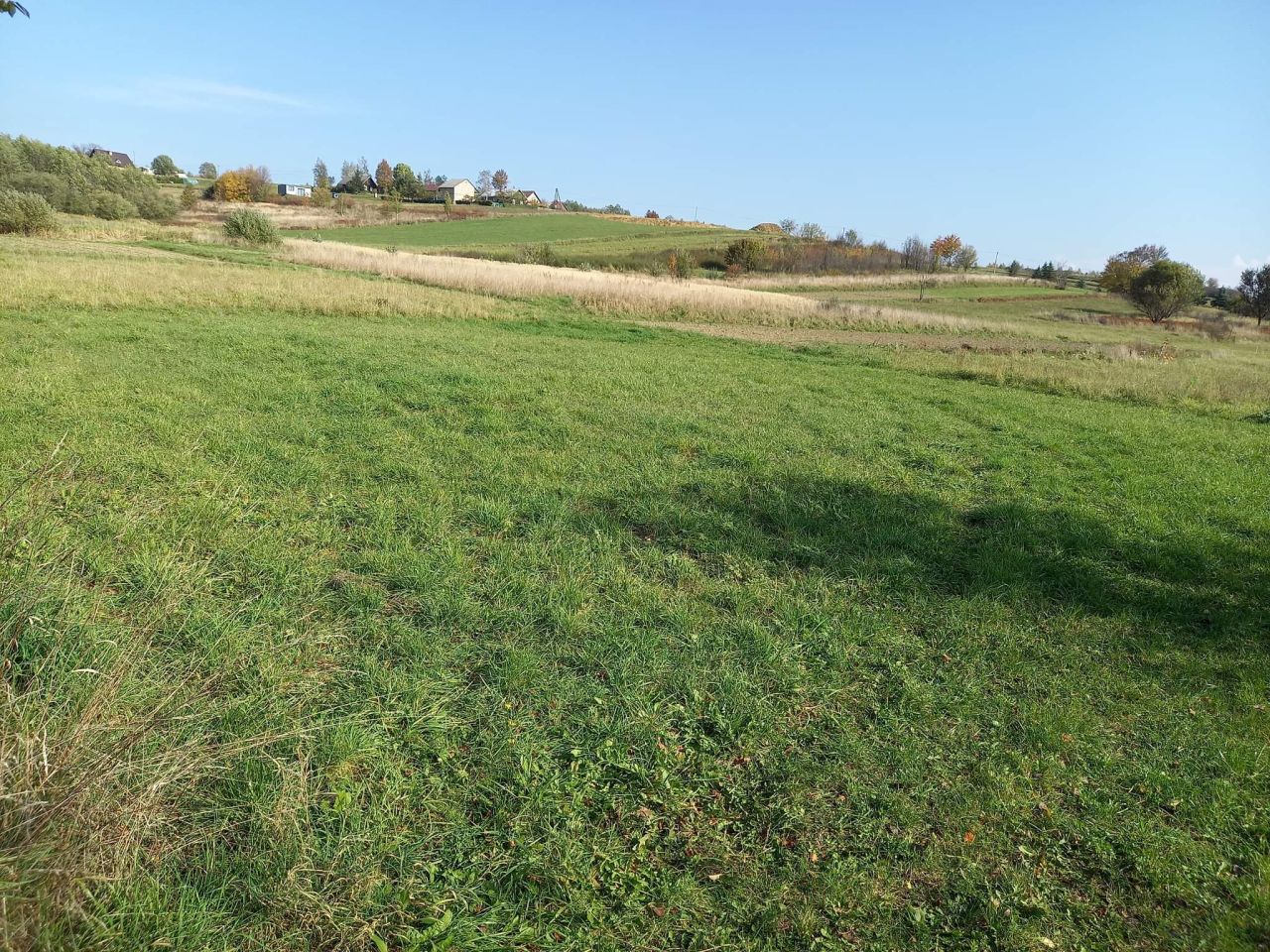 dom wolnostojący, 2 pokoje Sadki. Zdjęcie 10