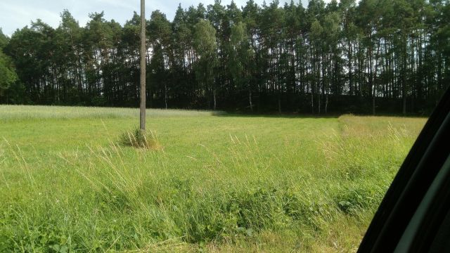 Działka rolno-budowlana Annówka. Zdjęcie 1