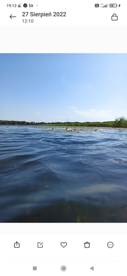 Działka leśna Jagodno. Zdjęcie 2