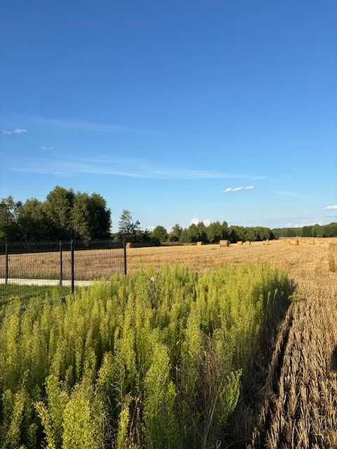 Działka budowlana Postękalice kolonia