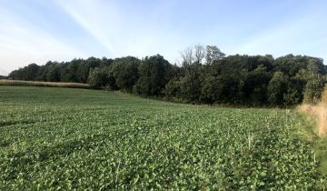 Działka rolno-budowlana Wałdowo Królewskie, ul. Izbicka