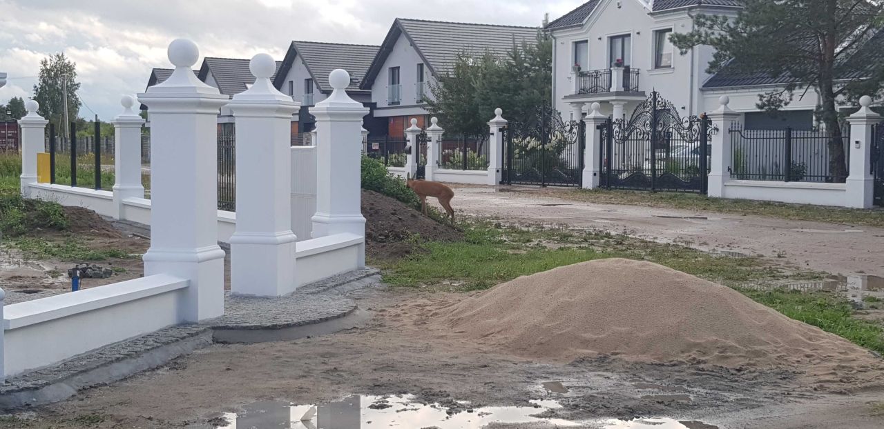 bliźniak Głosków. Zdjęcie 3