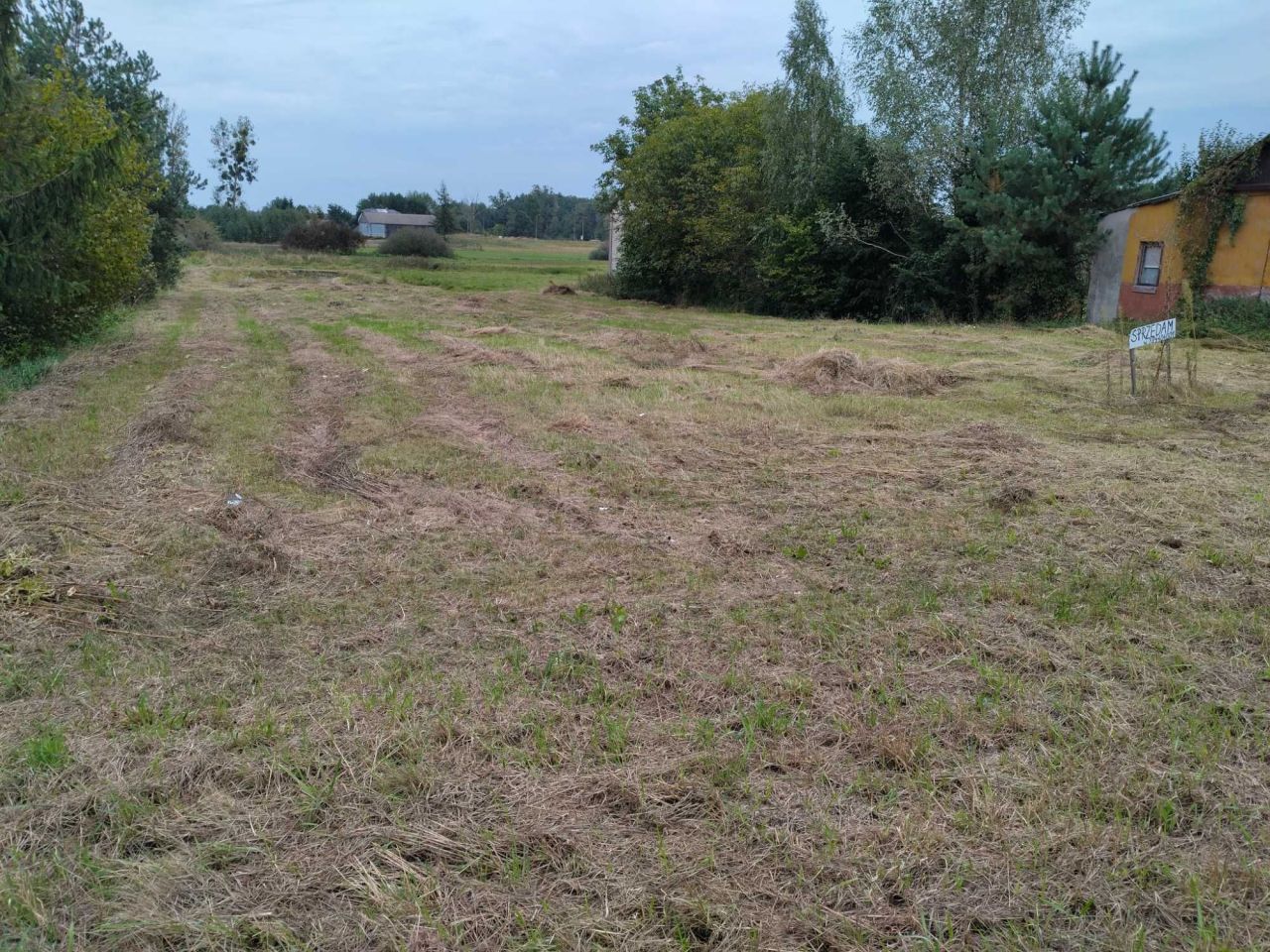 Działka budowlana Wesołówka. Zdjęcie 8