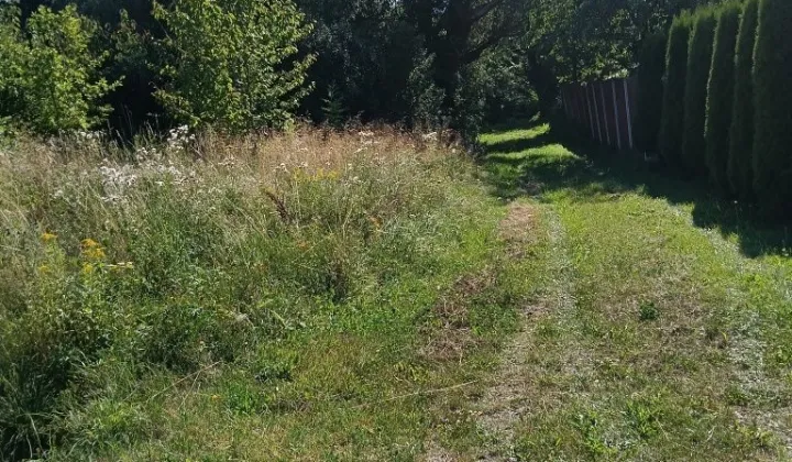 Działka rolna Wola Łagowska