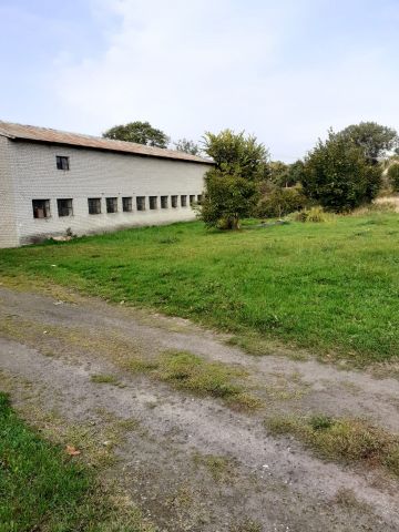 Działka rolno-budowlana Pokrzywnica, Pokrzywnica. Zdjęcie 1