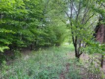 Działka rolno-budowlana Wojciechów-Kolonia Piąta. Zdjęcie 2