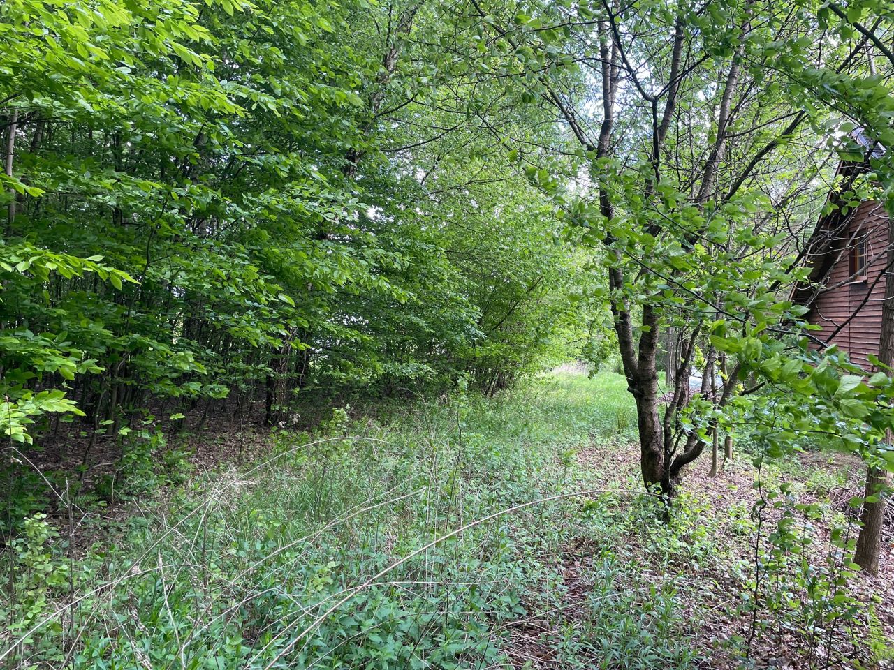 Działka rolno-budowlana Wojciechów-Kolonia Piąta. Zdjęcie 3