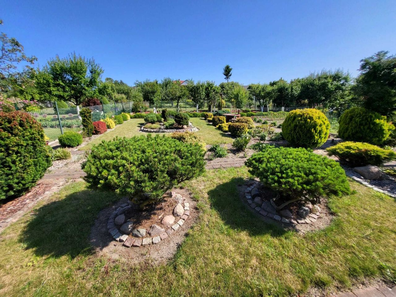 Działka rod Szczecin Pomorzany, ul. Białowieska. Zdjęcie 5