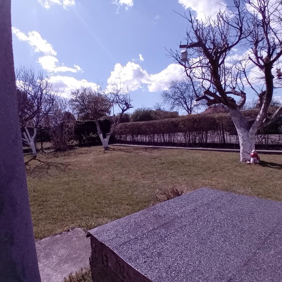 Działka rod Gliwice, ul. Rybnicka. Zdjęcie 11