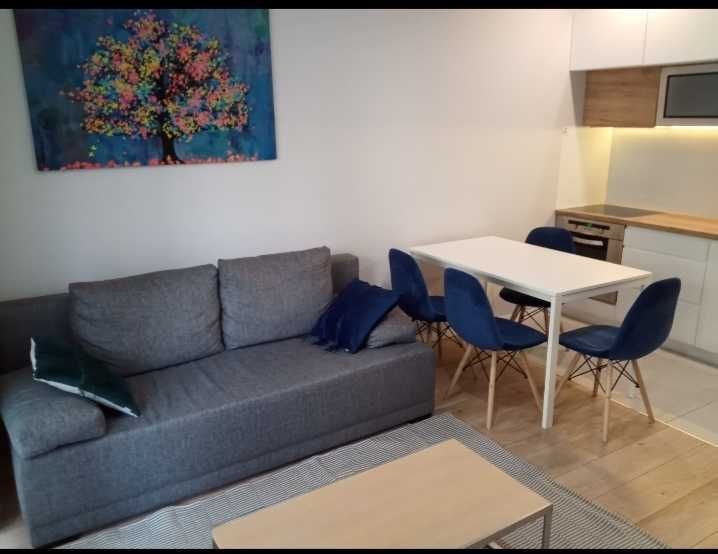 Mieszkanie 2-pokojowe Kraków Prądnik Czerwony, ul. Ernesta Cieślewskiego. Zdjęcie 1