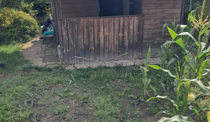 Działka rod Zamość, ul. Czesława Miłosza