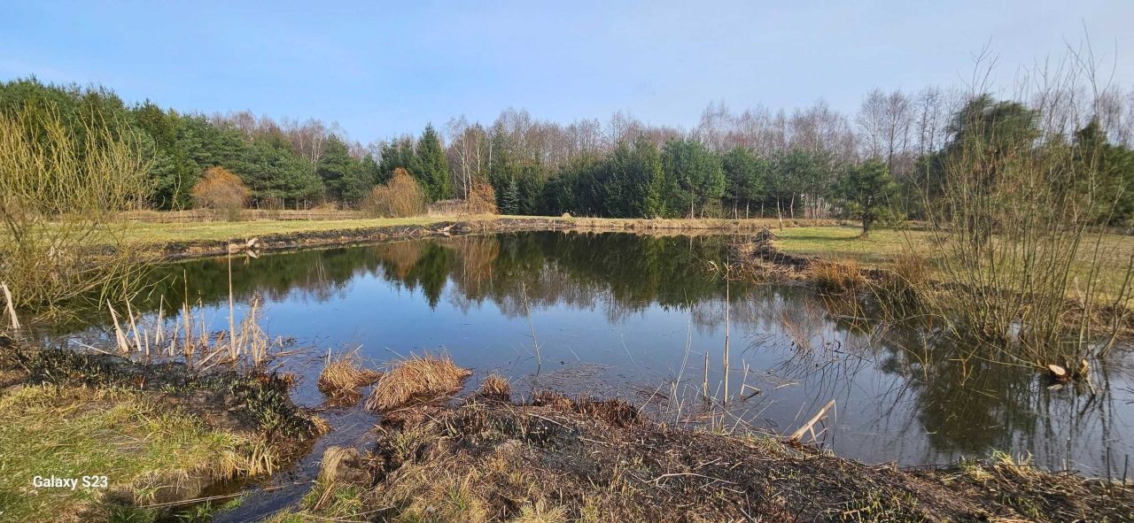 Działka rolno-budowlana Dłużew. Zdjęcie 4