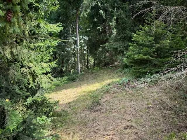 Działka inna Pyzówka, ul. Kolejowa. Zdjęcie 4