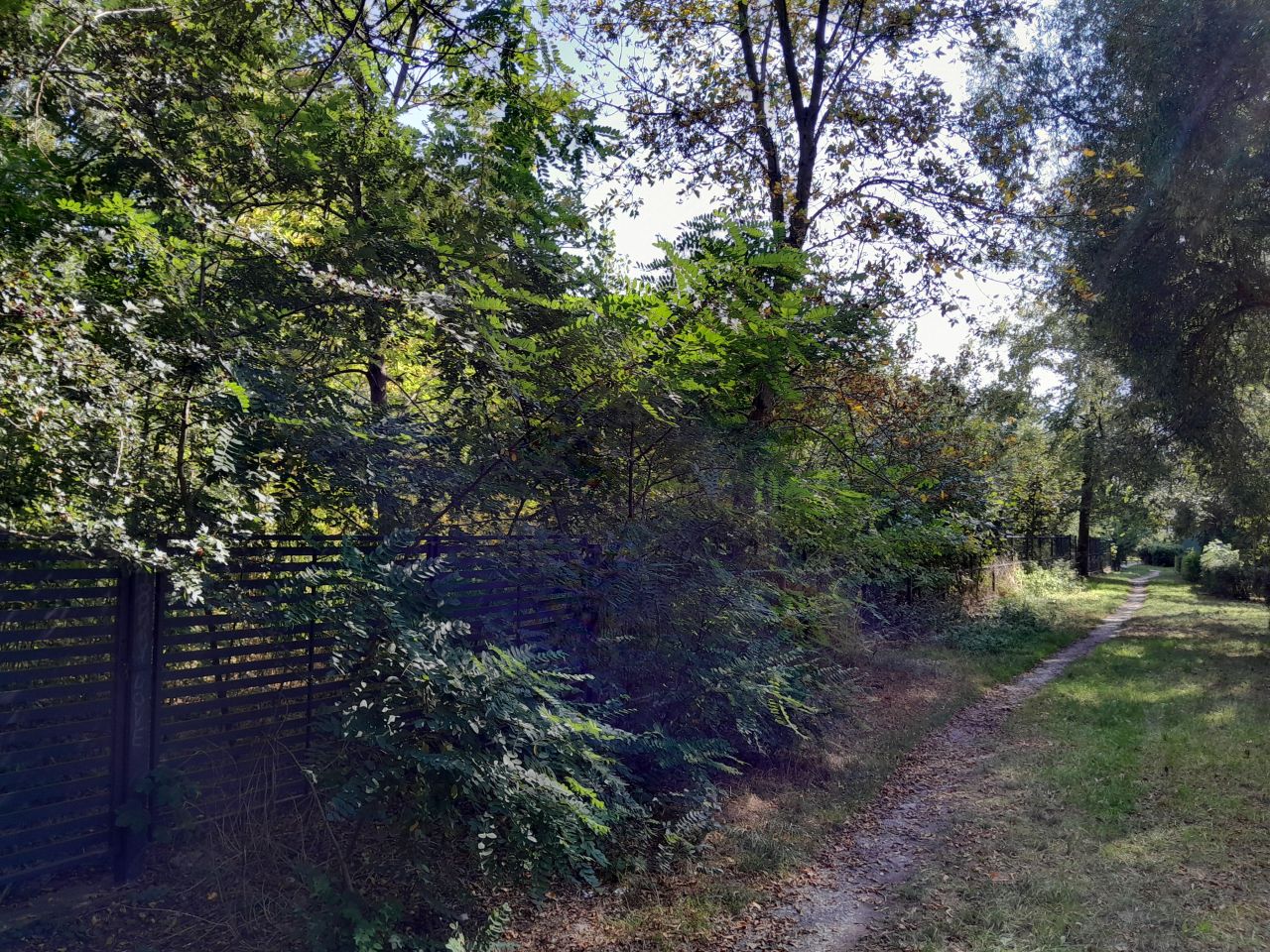 Działka inwestycyjna Łódź Widzew, ul. Zapadła. Zdjęcie 5