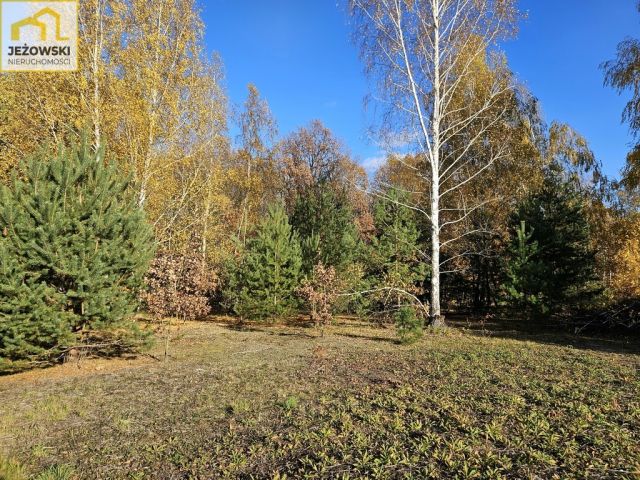 Działka budowlana Kolonia Góra Puławska. Zdjęcie 4