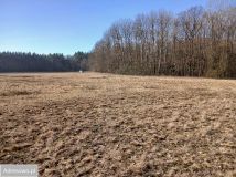 Działka rolna Głażewo. Zdjęcie 3