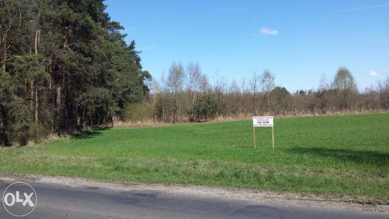 Działka budowlana Kazimierz Biskupi. Zdjęcie 2