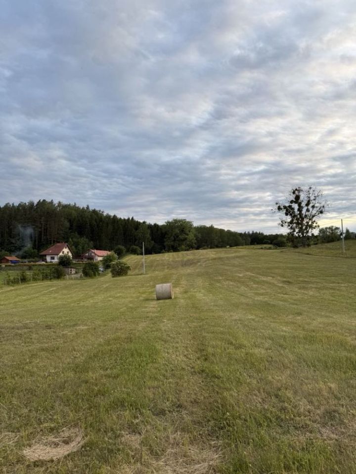 Działka rolno-budowlana Wierzbowo. Zdjęcie 7