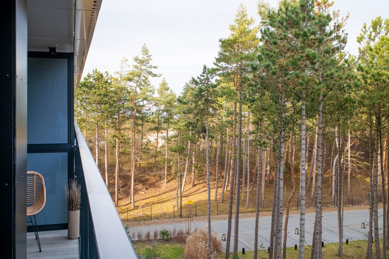 Mieszkanie 2-pokojowe Rogowo. Zdjęcie 44