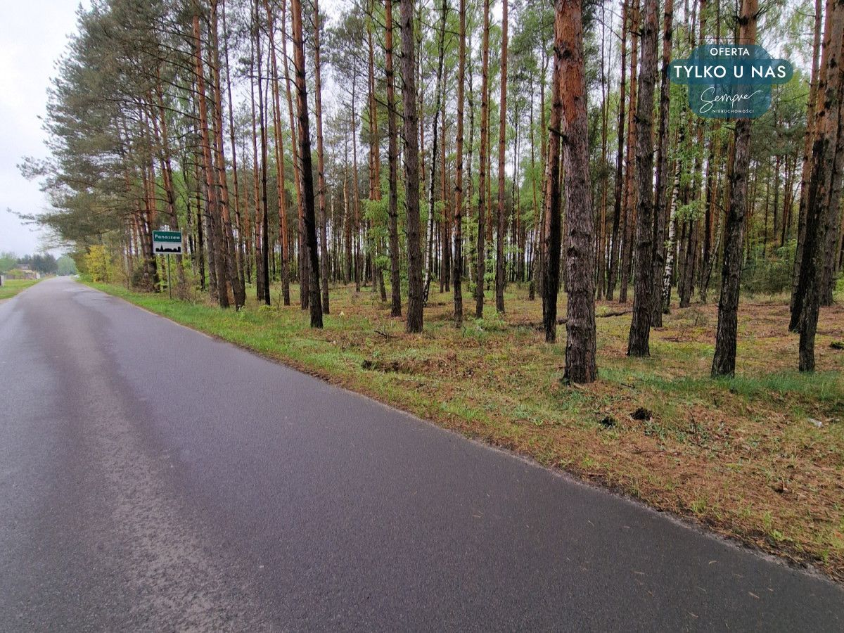 Działka budowlana Panaszew. Zdjęcie 12