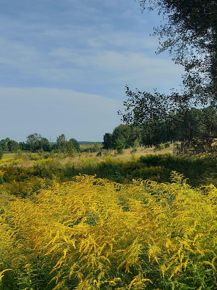 Działka rolno-budowlana Marcinkowo. Zdjęcie 4