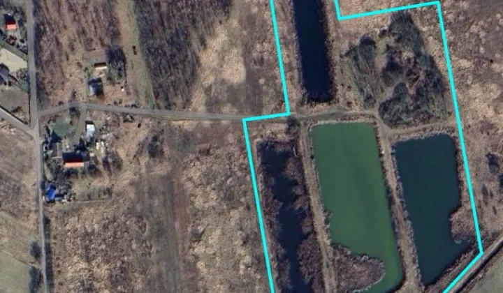 Działka rolna Nowy Lubusz