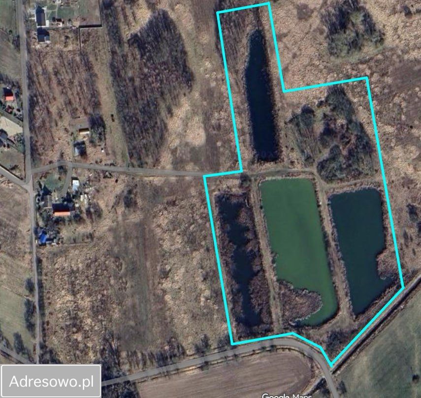 Działka rolna Nowy Lubusz