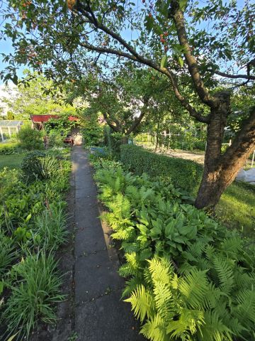 Działka rod Inowrocław Rąbin, Zapadle. Zdjęcie 1