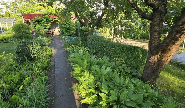 Działka rod Inowrocław Rąbin, Zapadle