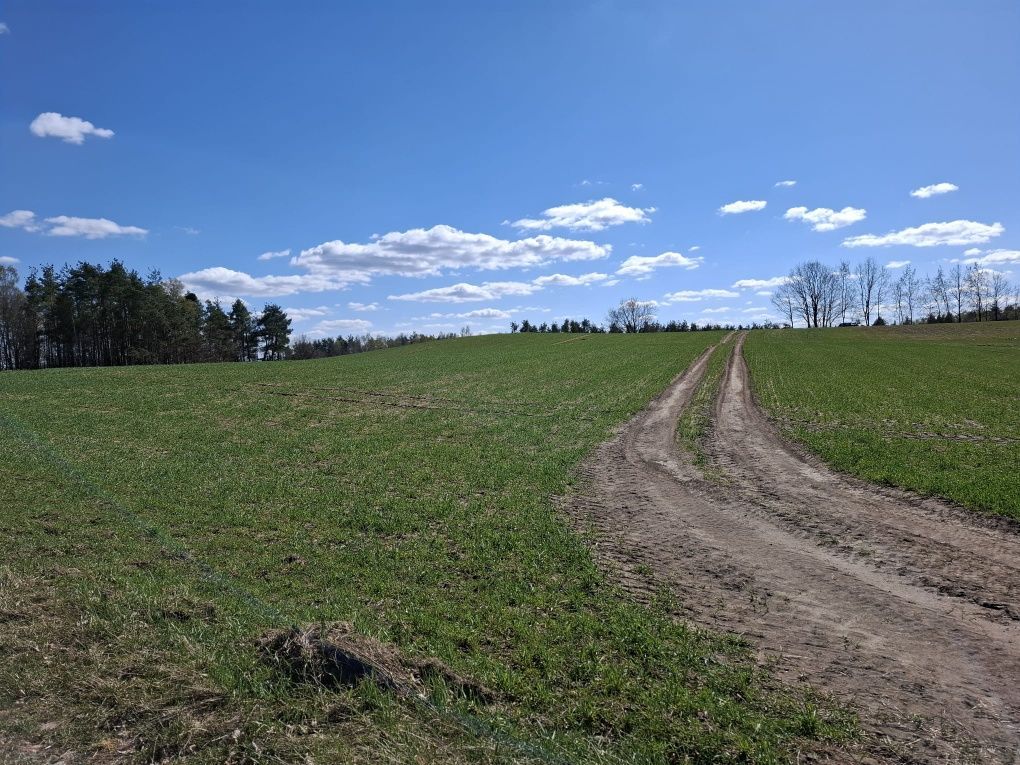 Działka budowlana Kłosowo. Zdjęcie 5