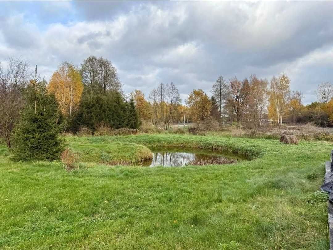 Nieruchomość komercyjna Rumoka. Zdjęcie 6