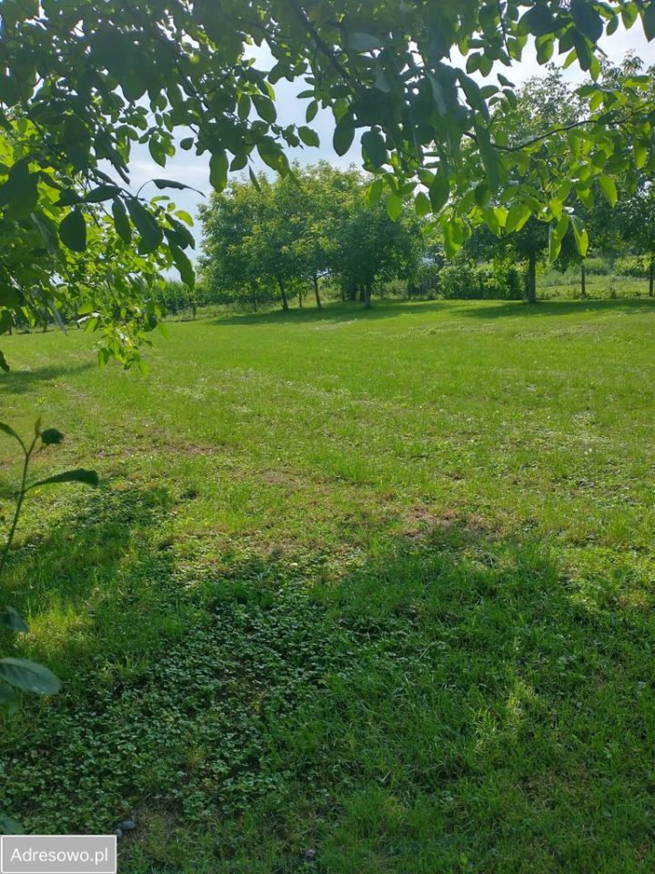 gospodarstwo, 3 pokoje Leszno. Zdjęcie 6