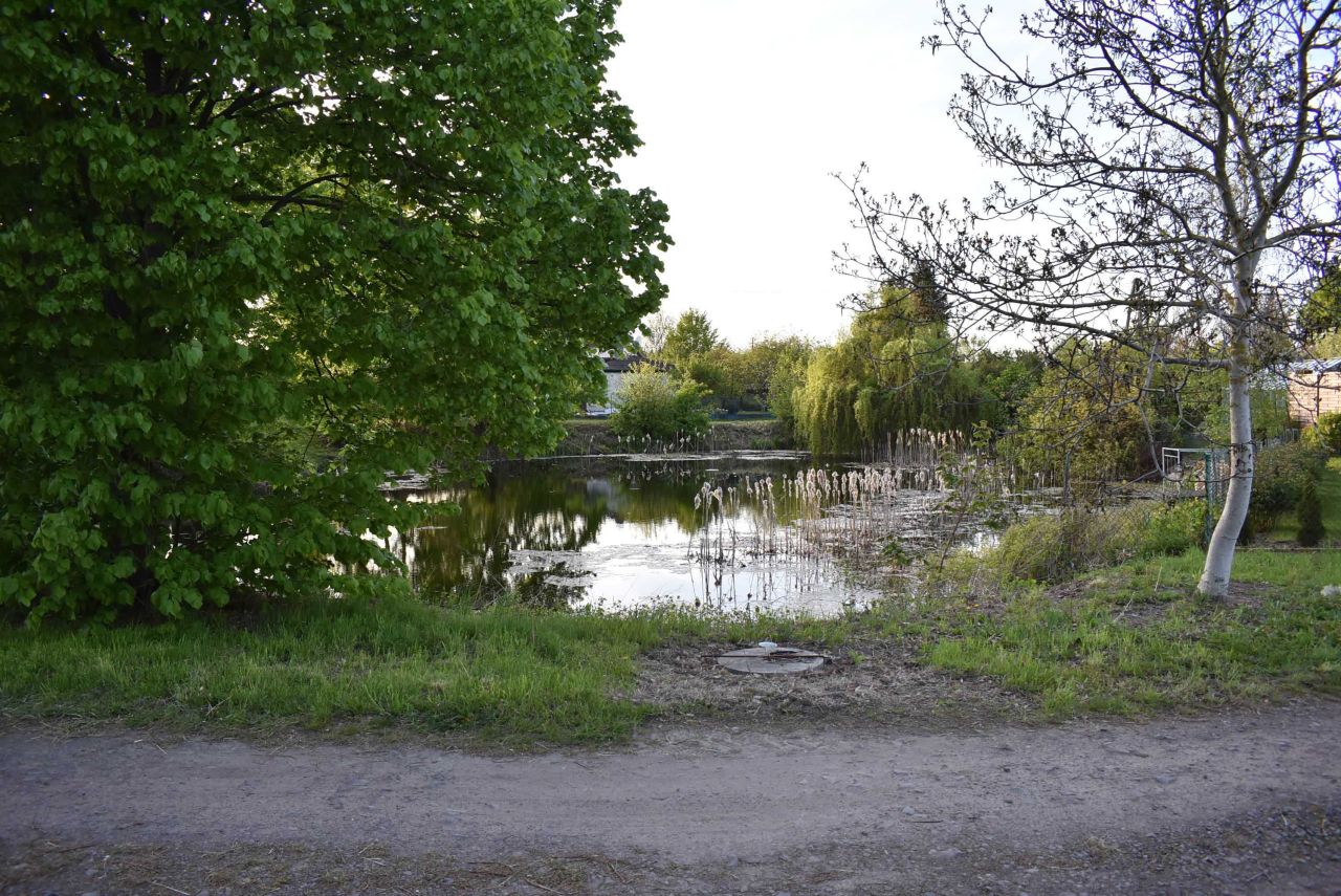 Działka rod Gniezno, ul. Powstańców Wlkp.. Zdjęcie 6